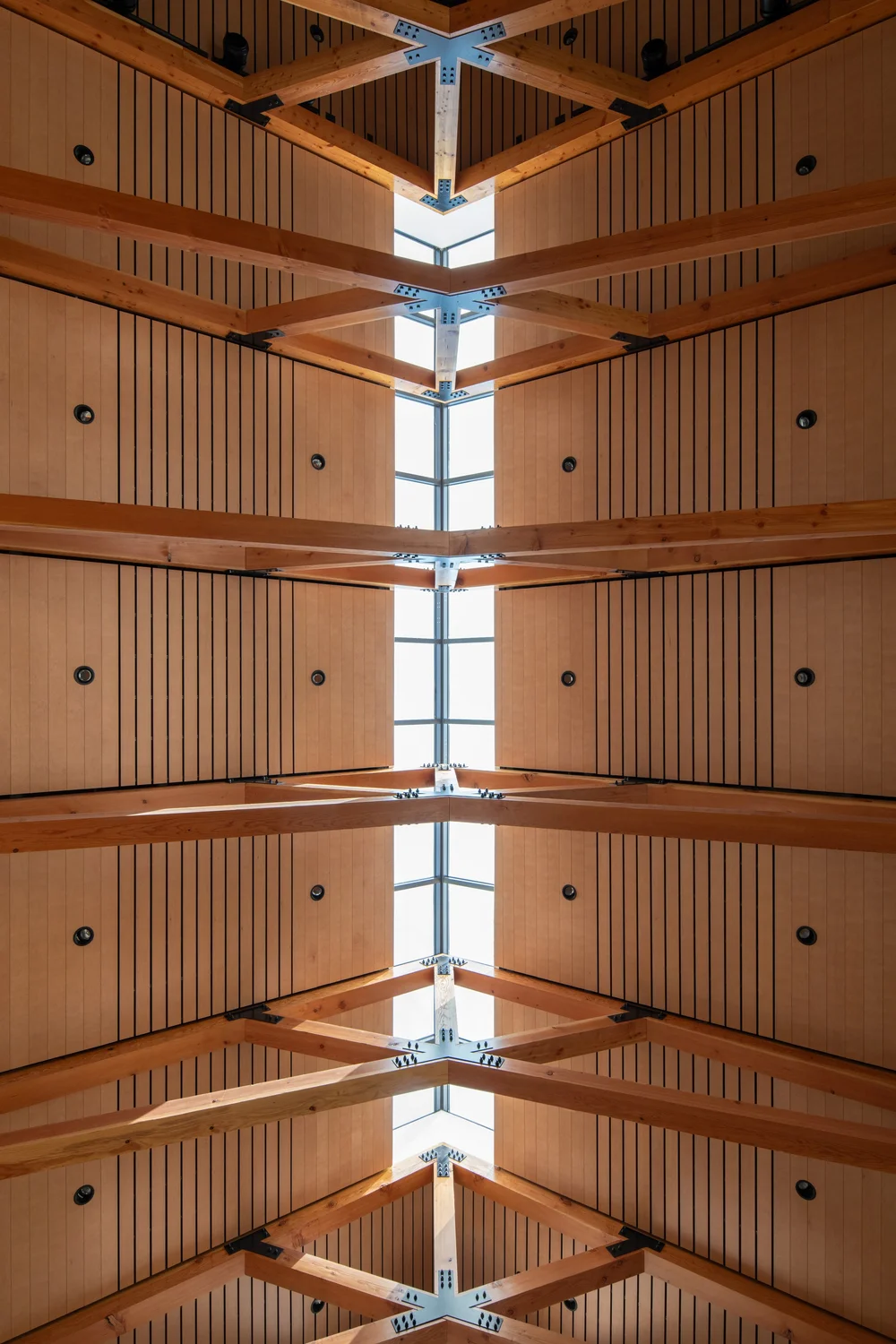 Christ Church Anglican Sanctuary Ceiling